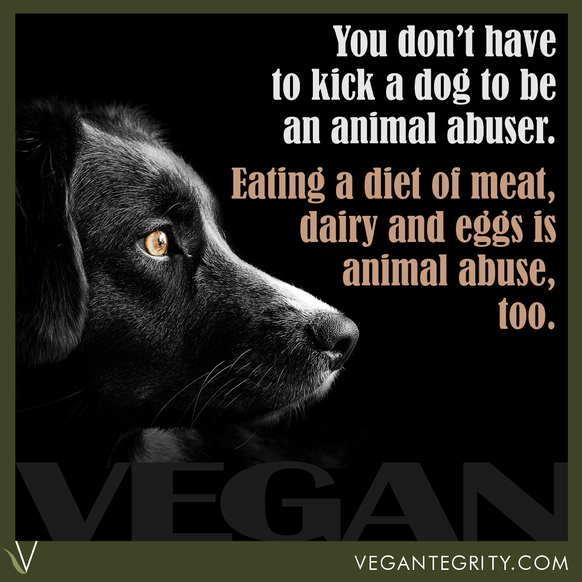 You don't have to kick a dog to be an animal abuser. Eating a diet of meat, dairy and eggs is animal abuse, too.
