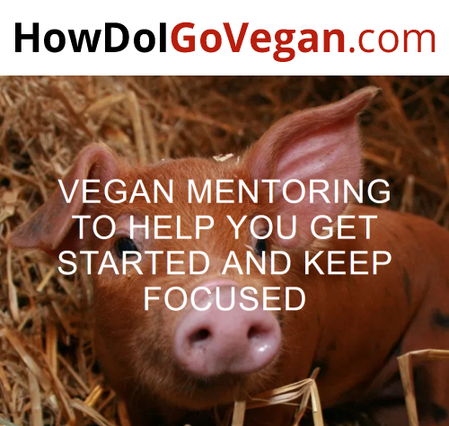 How Do I Go Vegan Mentor Program