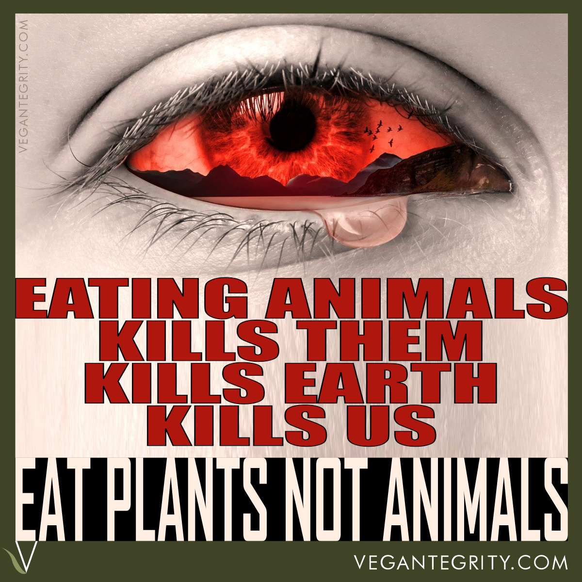Eating animals kills them, kills Earth, kills us. Eat plants not animals. Black and white image of human eye with superimposed red tinted image of mountains and flock of birds flying inside eyeball area and a pink tear starting to fall from the eye, red text