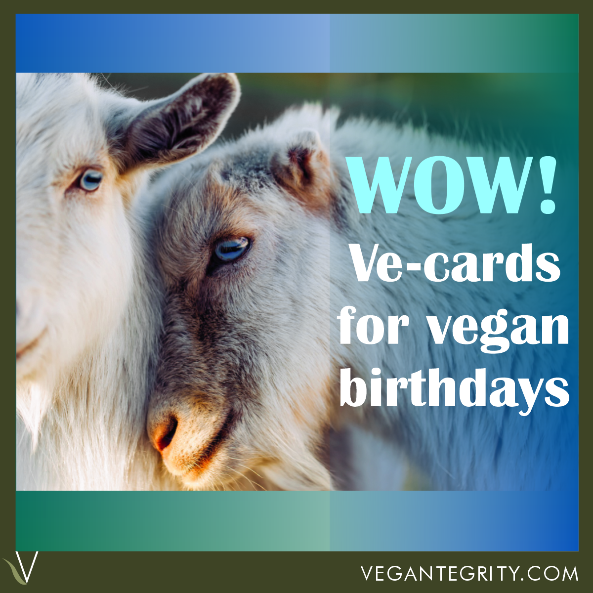 Ve-cards For Vegan Birthdays