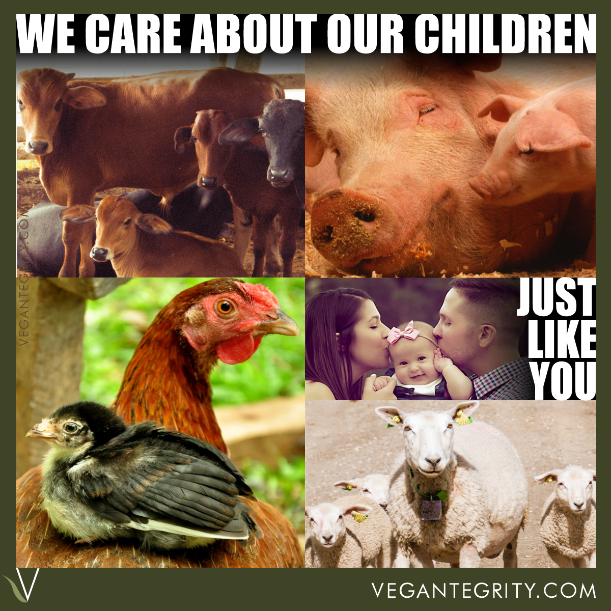 We care about our children. Just like you. Photos of group of cows and calves, pig and piglet, hen and chick, ewe and three lambs, human mother and father kissing their daughter